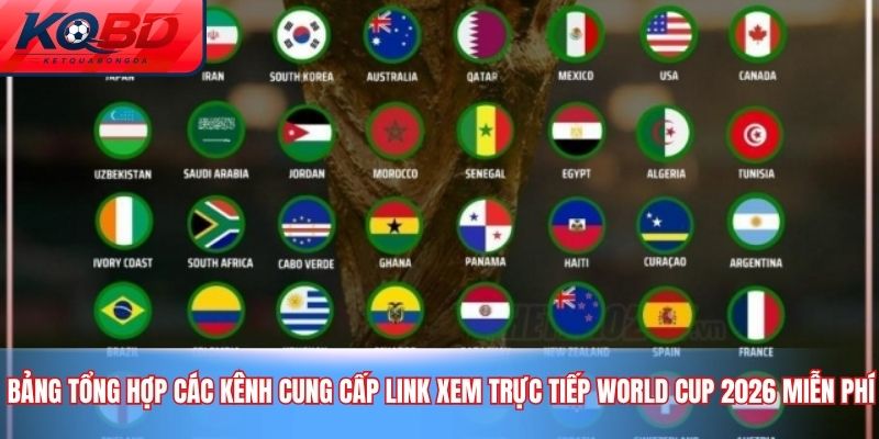 Bảng tổng hợp các kênh cung cấp Link Xem Trực Tiếp World Cup 2026 Miễn Phí