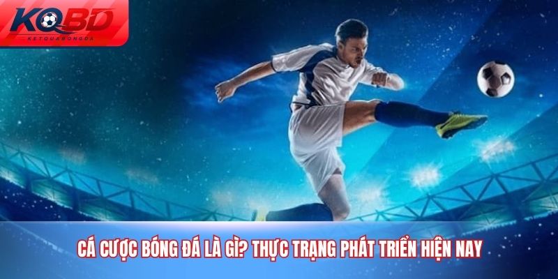 cá cược bóng đá