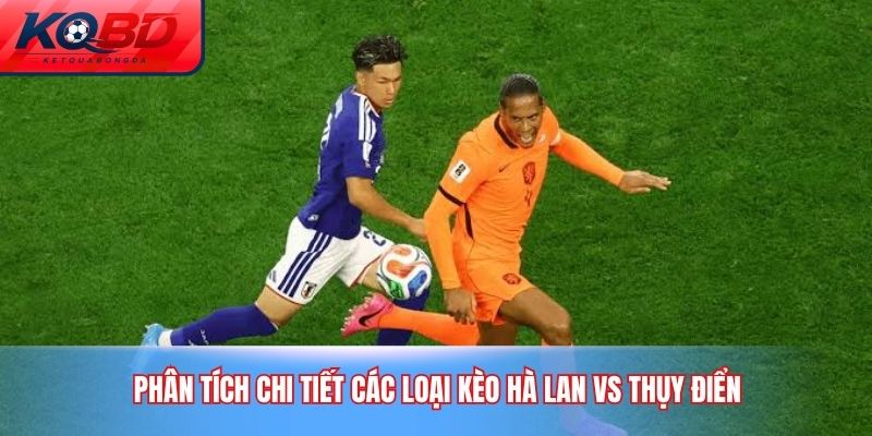 Phân tích chi tiết các loại kèo Hà Lan vs Thụy Điển