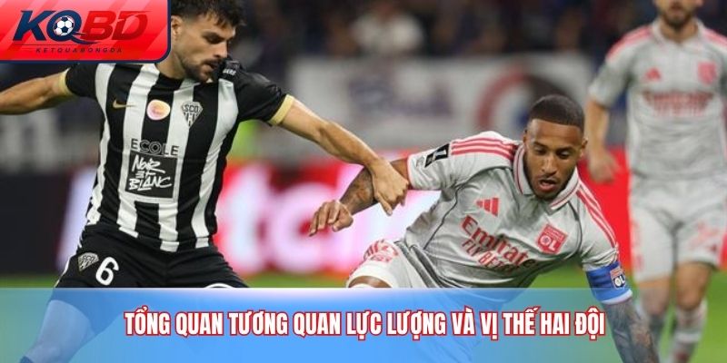 Tổng quan tương quan lực lượng và vị thế hai đội